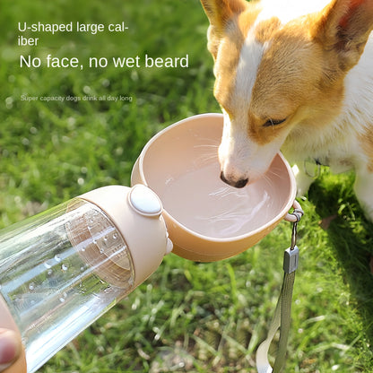 Portable Water Bottle with Food Dispenser