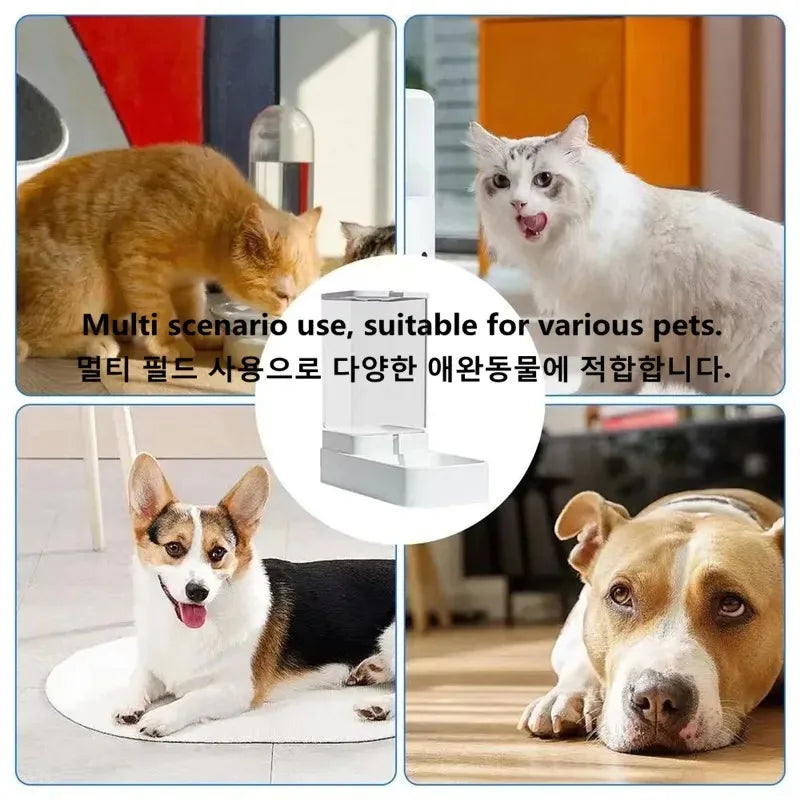 Automatic Water and Food Bowl